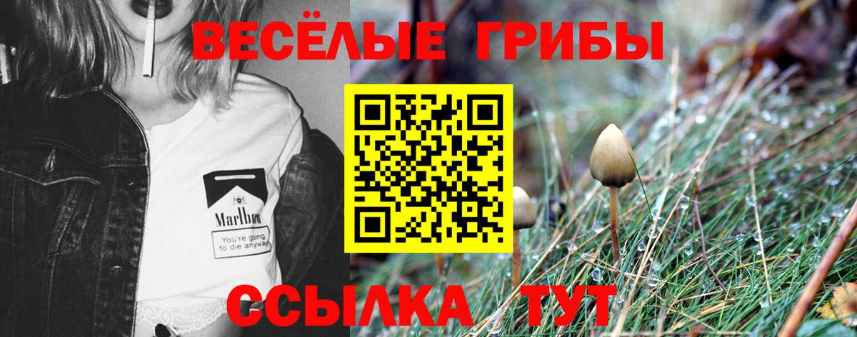 Вологда  Галлюциногенные грибы ЛСД  Вход с VPN 