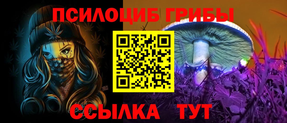 Галлюциногенные грибы GOLDEN TEACHER Вологда